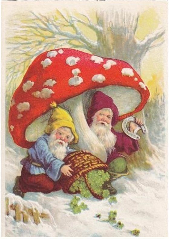 Episode 1: Amanita Muscaria