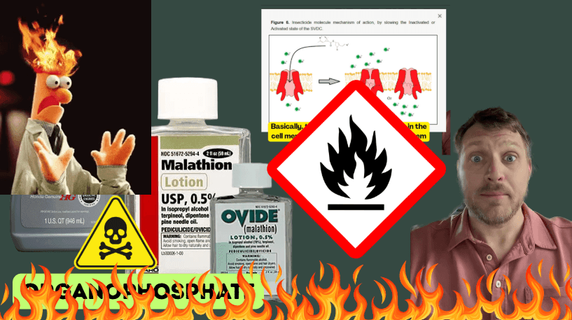 Episode 3: Lice, Death, and Thomas Becket